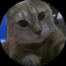 Roberta Marini Avatar