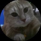 Roberta Marini Avatar